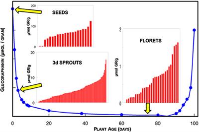 The Challenges of Designing and Implementing Clinical Trials With Broccoli Sprouts… and Turning Evidence Into Public Health Action